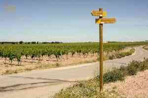 Puesta en valor la homologación de una ruta turística en torno a los bombos de Tomelloso