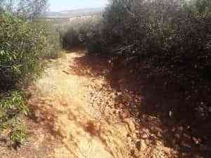 Proyecto ´Acondicionamiento y Mejora de Caminos 2021′ de Puertollano con una inversión de 126.000 euros