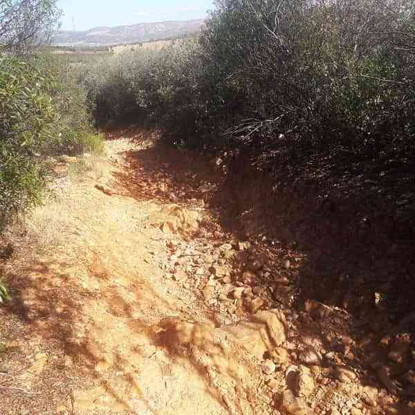 Proyecto ´Acondicionamiento y Mejora de Caminos 2021′ de Puertollano con una inversión de 126.000 euros