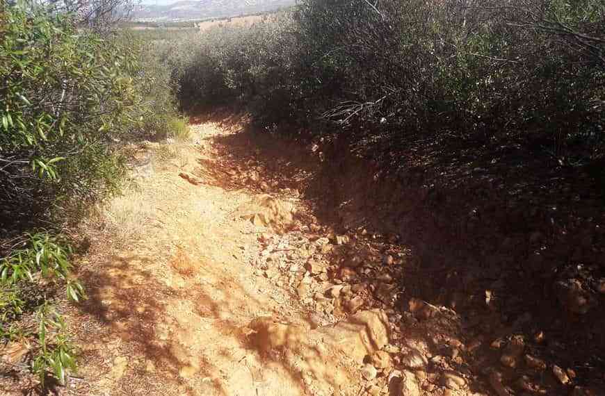 Proyecto ´Acondicionamiento y Mejora de Caminos 2021′ de Puertollano con una inversión de 126.000 euros