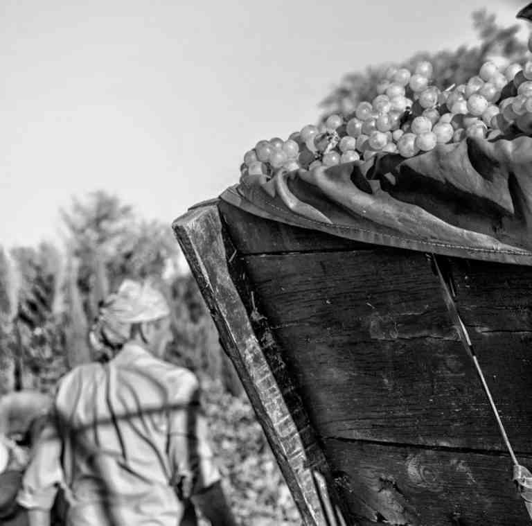 Ganadores del concurso “Mi rincón favorito de Tomelloso” fueron premiados hoy Ganadores del concurso “Mi rincón favorito de Tomelloso” fueron premiados hoy