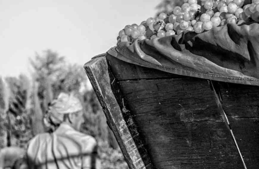 Ganadores del concurso “Mi rincón favorito de Tomelloso” fueron premiados hoy