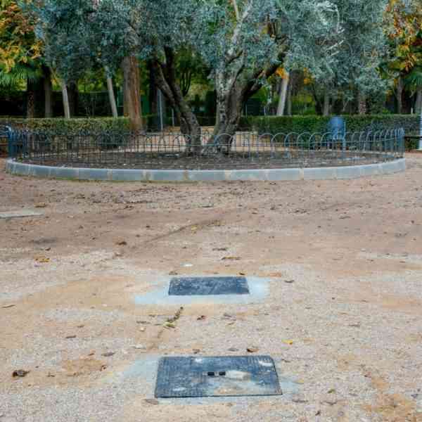 Automatizan el sistema de riego del parque de la Constitución de Tomelloso