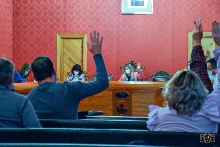 Declaración institucional por el Día Internacional de la Eliminación de la Violencia contra la Mujer del pleno de Tomelloso Declaración institucional por el Día Internacional de la Eliminación de la Violencia contra la Mujer del pleno de Tomelloso