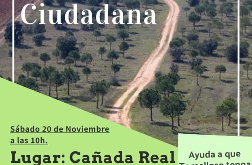 Jornada de Reforestación el 20 de noviembre en la Cañada Real Conquense-Vereda en el término municipal de Tomelloso