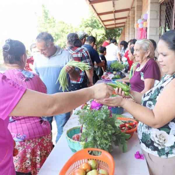 A través de la Imprenta Provincial, la Diputación de Ciudad Real colaborará con la ONG Manos Unidas