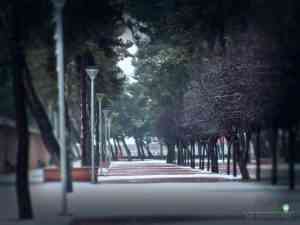 Fotografías de la primera nevada de 2021 en Tomelloso