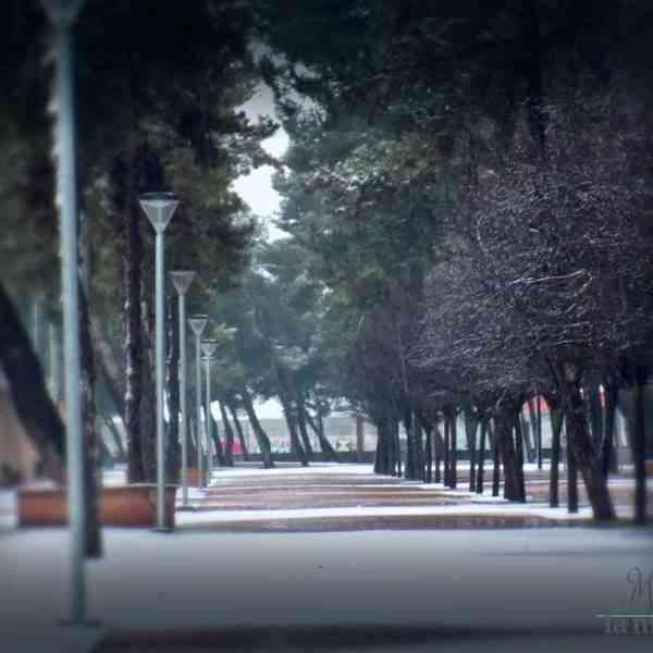 Fotografías de la primera nevada de 2021 en Tomelloso