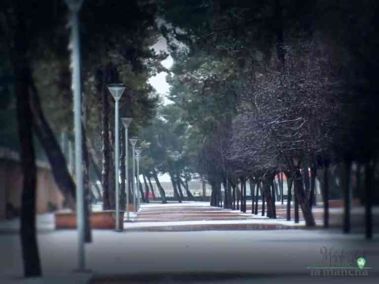 Fotografías de la primera nevada de 2021 en Tomelloso Fotografías de la primera nevada de 2021 en Tomelloso