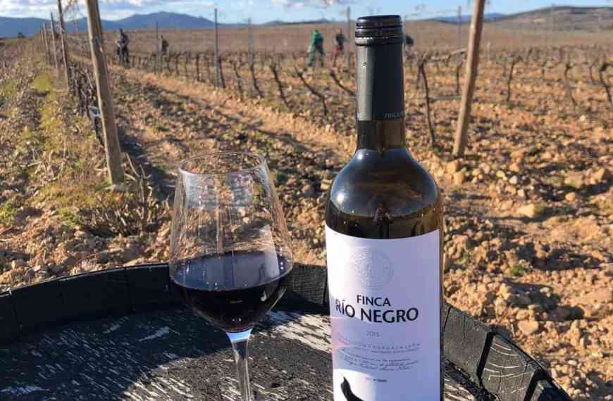 Tomelloso prevé un aumento de visitantes y potenciará este 2022 el enoturismo y la gastronomía como principales atractivos