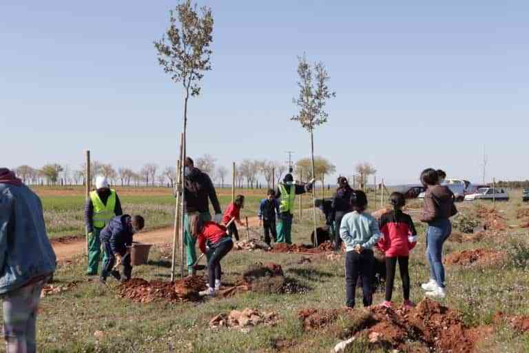 Escolares reforestaron la Vereda de Siles en Manzanares por el Día del Árbol 2022