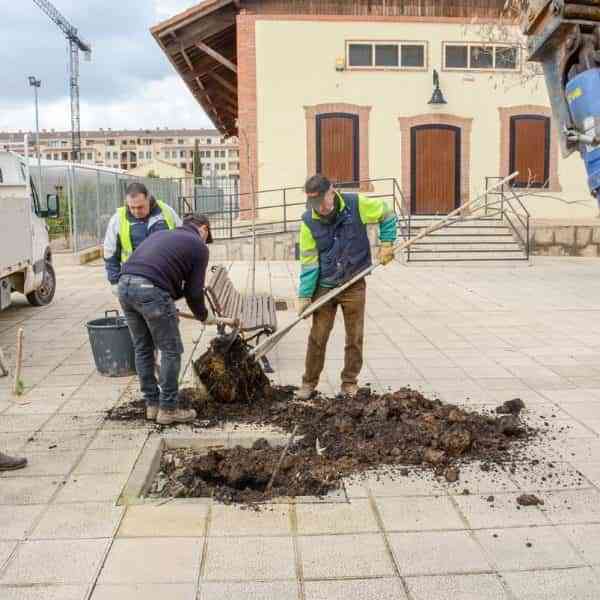 Nueva campaña 2022 de repoblación de arbolado en parques y zonas verdes de la ciudad de Tomelloso