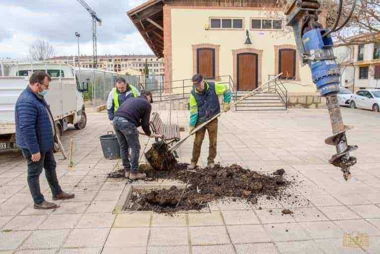 Nueva campaña 2022 de repoblación de arbolado en parques y zonas verdes de la ciudad de Tomelloso