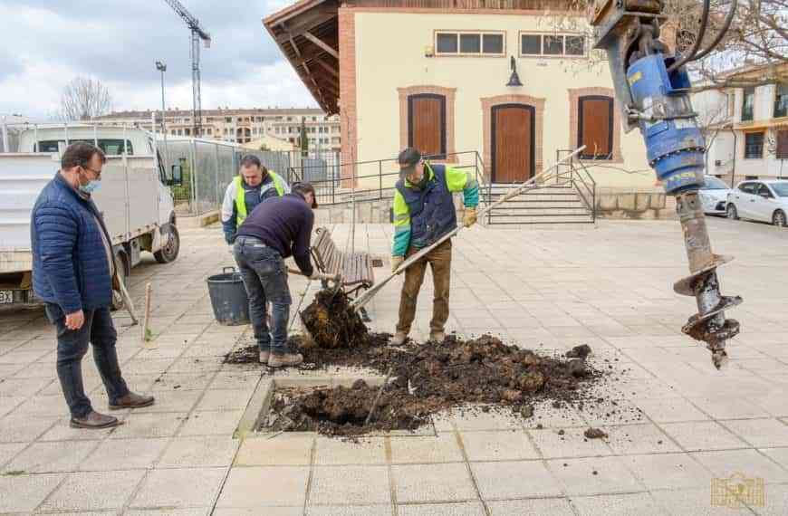 Nueva campaña 2022 de repoblación de arbolado en parques y zonas verdes de la ciudad de Tomelloso