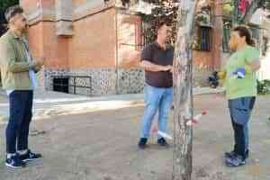 Nuevo tratamiento de endoterapia para luchar contra las plagas en las zonas verdes de Tomelloso