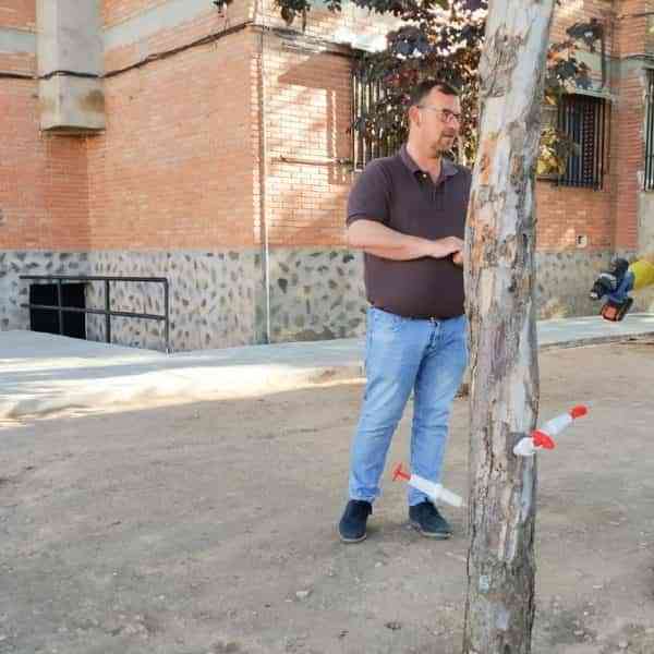 Nuevo tratamiento de endoterapia para luchar contra las plagas en las zonas verdes de Tomelloso