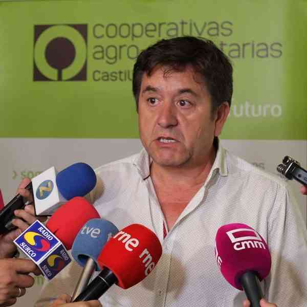 Cooperativas Agro-alimentarias estima una cosecha de 19,5 millones de hl de vino y mosto en Castilla-La Mancha. Un 13% menos que el pasado año