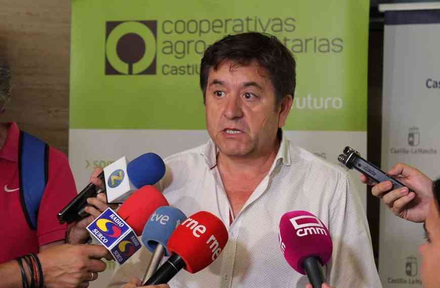 Cooperativas Agro-alimentarias estima una cosecha de 19,5 millones de hl de vino y mosto en Castilla-La Mancha. Un 13% menos que el pasado año