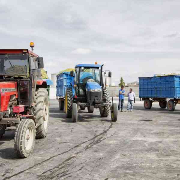 Diecinueve ganadores de los concursos de San Isidro son reconocidos en Tomelloso.