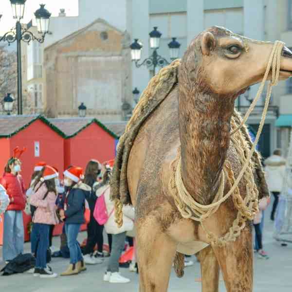 Las mejores decoraciones navideñas en los balcones y ventanas de Tomelloso recibirán un premio de hasta 400 euros