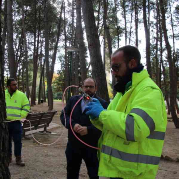 Tratamiento de endoterapia para prevención de la procesionaria en 300 pinos en distintas zonas de Albacete