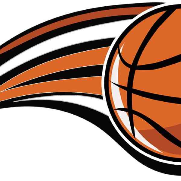 Campus baloncesto para alevín infantil y cadete en Tomelloso del 2 al 8 de enero