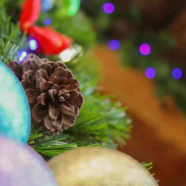 Talleres, cantajuegos, campanadas infantiles y cuentacuentos  del 29 de diciembre al 3 de enero en Tomelloso