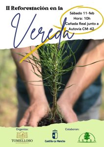 Únete a la II Jornada de Reforestación en la Vereda el sábado 11 de febrero: ¡Ven a Contribuir con este Espacio Público!
