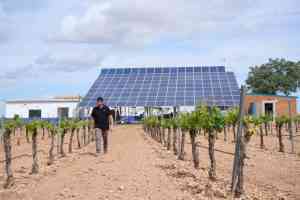 Cómo la utilización de sondas y tecnología de goteo está optimizando el riego en La Mancha y enfrentando la sequía.