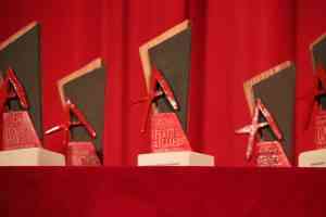 Actuaciones de los grupos elegidos en la II Muestra Regional de Teatro Amateur «Ciudad de Manzanares» del 3 al 11 de junio.