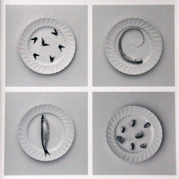 Ganadores del XXIII Certamen de Fotografía “Ciudad de Tomelloso 2023” los premios se entregarán el 30 de agosto