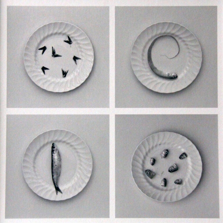 Ganadores del XXIII Certamen de Fotografía “Ciudad de Tomelloso 2023” los premios se entregarán el 30 de agosto