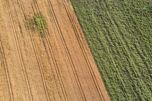 El Partido Popular promete impulsar una rápida alza en la renta agraria en respuesta a la complicada situación del sector agrícola.