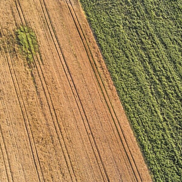 El Partido Popular promete impulsar una rápida alza en la renta agraria en respuesta a la complicada situación del sector agrícola.