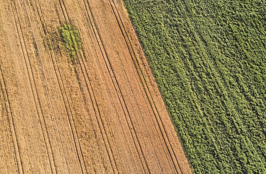 El Partido Popular promete impulsar una rápida alza en la renta agraria en respuesta a la complicada situación del sector agrícola.