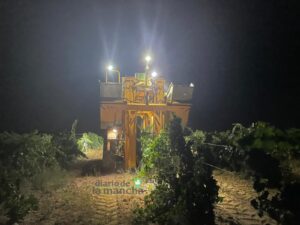 Comienza con fuerza la cosecha 2023 en la Denominación de Origen La Mancha.