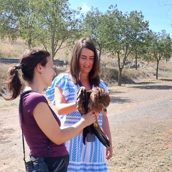 Más de 700 ejemplares han sido recibidos en el Centro de Recuperación de Fauna Salvaje ‘El Chaparrillo’ en lo que va de año.