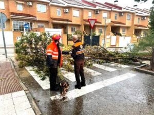 Protección Civil despliega amplia operación durante la tormenta el jueves