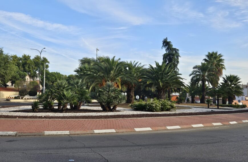 Transformación de la ciudad mediante un programa de plantación dirigido por la concejalía de Medio Ambiente, Parques y Jardines.