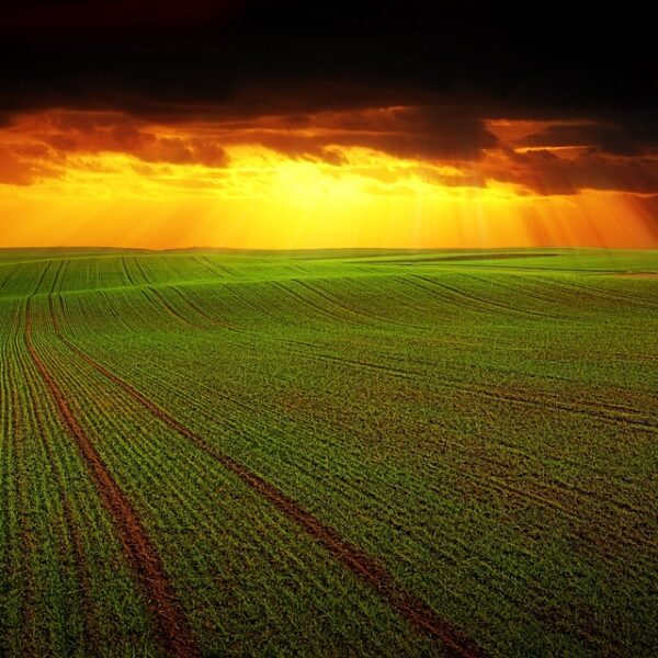 La lucha contra la despoblación en Castilla-La Mancha: más de cien medidas de Economía Social