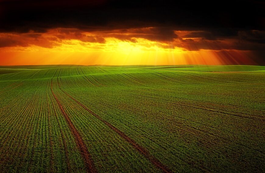 La lucha contra la despoblación en Castilla-La Mancha: más de cien medidas de Economía Social