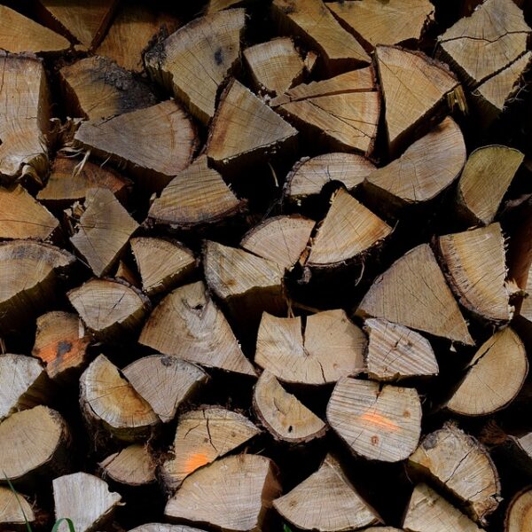 Promoción de la lactancia materna en recién nacidos: protocolo actualizado de la Gerencia de Atención Integrada de Tomelloso.