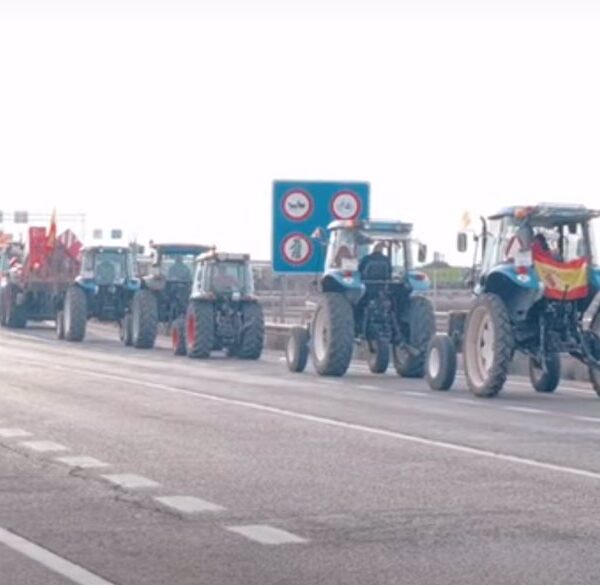 Cientos de Tractores de Agricultores Bloquean la A-43 en el Paso de Tomelloso a Manzanares