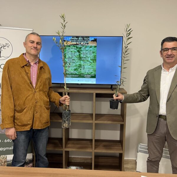 Tomelloso acogerá el I Fórum del Olivar, sobre perspectivas e innovaciones del cultivo