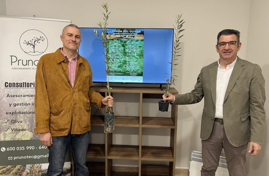Tomelloso acogerá el I Fórum del Olivar, sobre perspectivas e innovaciones del cultivo