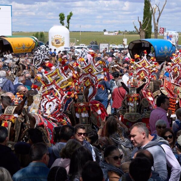 Romeros desafían la lluvia para acompañar a la Virgen de las Viñas en La Pinilla y honrar Tomelloso