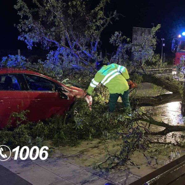 Los bomberos de Ciudad Real atienden 31 emergencias a causa de la tormenta Nelson