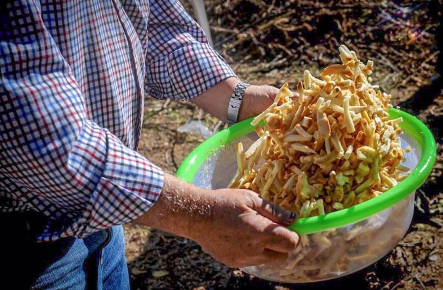 Concurso Local de Gachas, Migas y Pisto en Tomelloso para Celebrar el Día de la Región