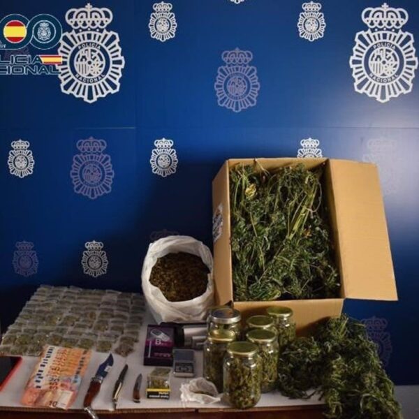 Desmantelan un centro de producción y distribución de marihuana en Tomelloso y detienen a un varón