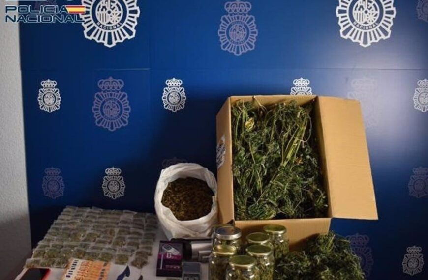 Desmantelan un centro de producción y distribución de marihuana en Tomelloso y detienen a un varón
